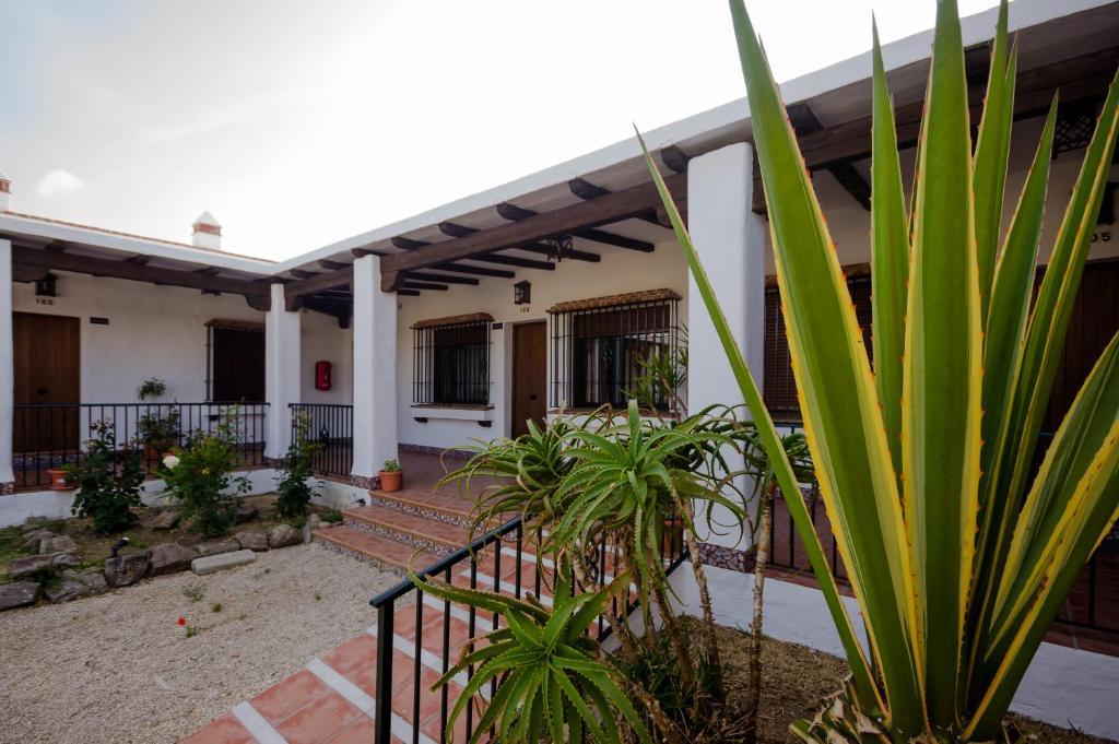 Hacienda Puerto Conil Leilighet Conil De La Frontera Eksteriør bilde
